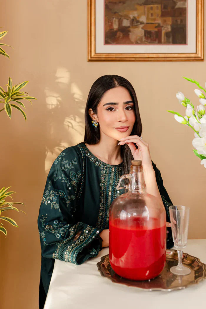 BATIK Luxury Embroidered Dhanak 2-Pc Suit